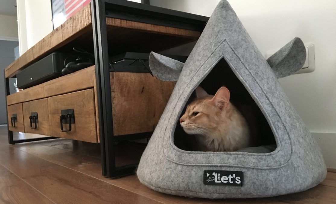7 Tips om uw kat beter te laten slapen