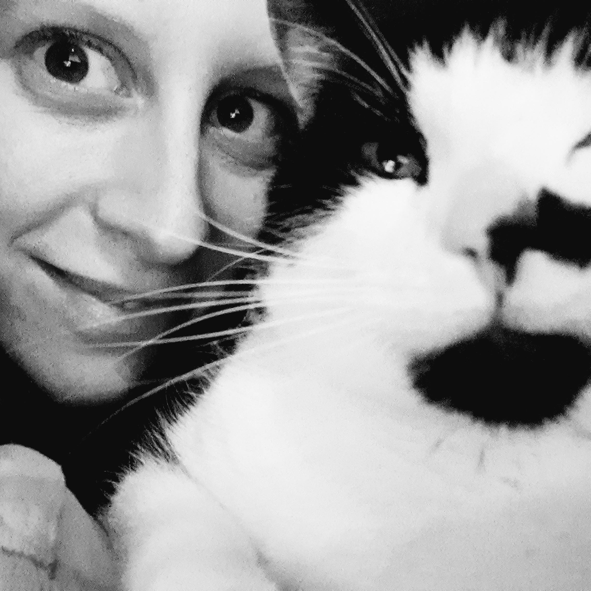 Vacht verzorgen kat - Kattentrimmer Femke maisonduchat