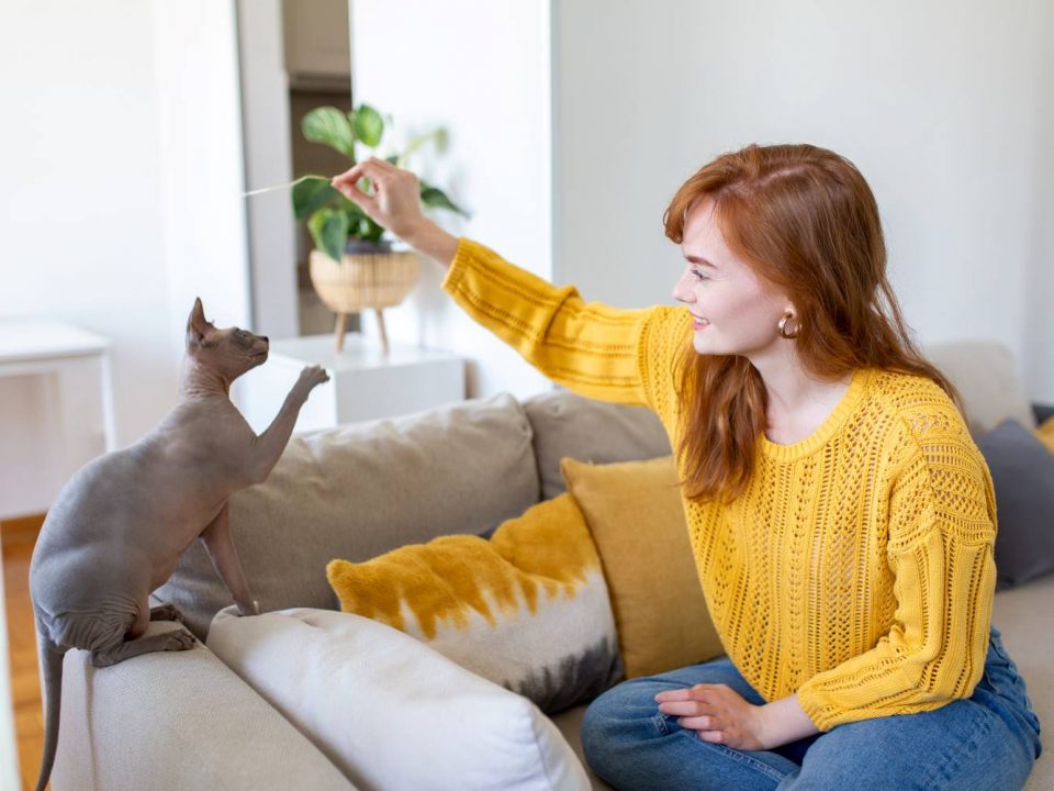 7 manieren om je kat te verwennen
